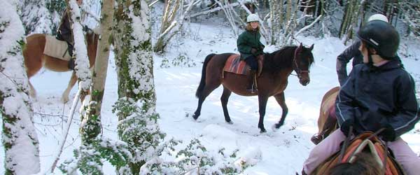 Randonnée hivernale : galops dans les neiges du Jura, France