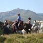 Rando cheval en France Pyrénées catalanes 