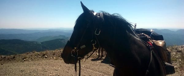 Randonnée équestre dans les pas des 160 km de Florac, Lozère, France