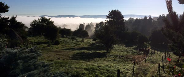 Randonne  cheval, sur les traces de RL Stevenson dans les Cvennes, Lozre, France