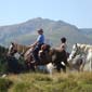 Rando cheval en France, les isards Pays Cathare