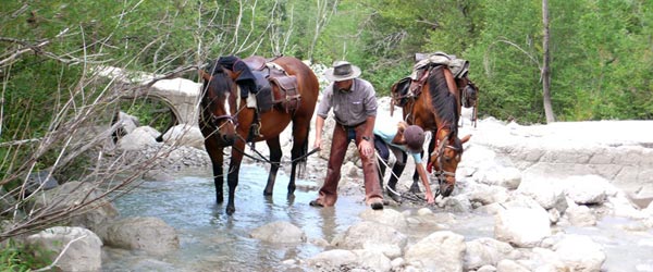 Randonnée à cheval, Monges immenses et sauvages, Alpes de Haute Provence.