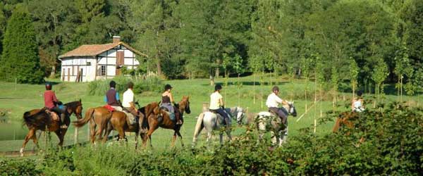 Stage équestre SPECIAL ADOS Anglais-équitation dans les Landes, France