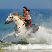 Stage équestre SPECIAL ADOS Anglais-équitation dans les Landes, France