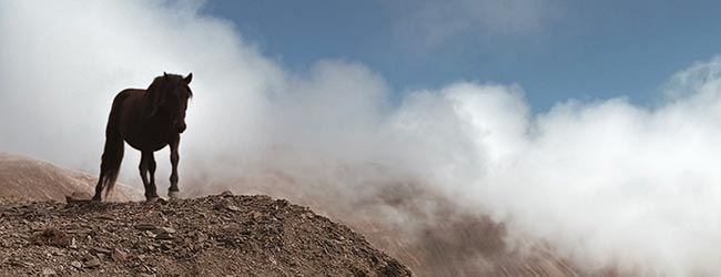 Randonnée à cheval dans les montagnes sauvages de Tusheti, Géorgie
