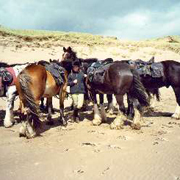 Randonnée à cheval dans la région du Kerry, Irlande