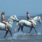 Rando cheval en Irlande à Sligo