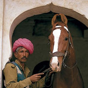 Les fêtes de Pushkar, randonnée à cheval, Radjasthan, Inde.