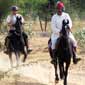 Rando cheval en Inde au Rajasthan