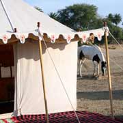 Randonnée équestre du Mewar, Rajasthan, Inde