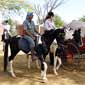 Rando cheval en Inde, les Aravalli au Rajasthan