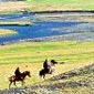 Rando cheval en Islande à Kjölur