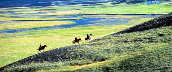 Randonnée à cheval du Sprengisandur, la grande traversée de l'Islande