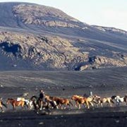 Randonnée à cheval du Sprengisandur, la grande traversée de l'Islande