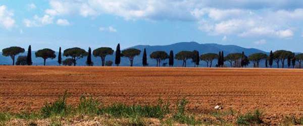 Randonnée équestre des crêtes siennoises, Toscane, Italie