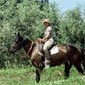 Rando cheval en Italie à Val d'Orcia