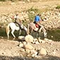 Rando cheval en Italie en Sicile etna