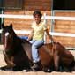 Séjour cheval en Italie en Sardaigne