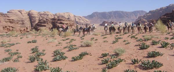 Découverte randonnée équestre du Wadi Rum et de Petra, Jordanie (Hiver)