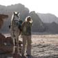 Rando cheval en Jordanie au Wadi Rum