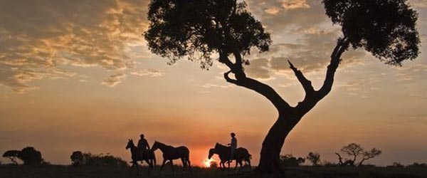 Safari  cheval dans le Masai Mara et la Grande Valle du Rift, Kenya