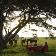 Safari équestre pour tous, en lodge, dans les Chyulu Hills, Kenya