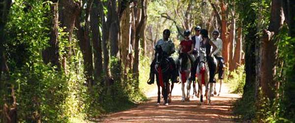 Randonnée à cheval, culture et brousse du Sri Lanka