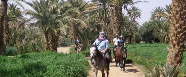 RandonnÃ©e Ã©questre, la chevauchÃ©e de Mogador, Maroc