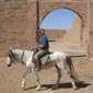 Rando cheval au Maroc mogador