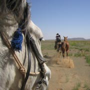 Randonnée équestre, la chevauchée de Mogador, Maroc