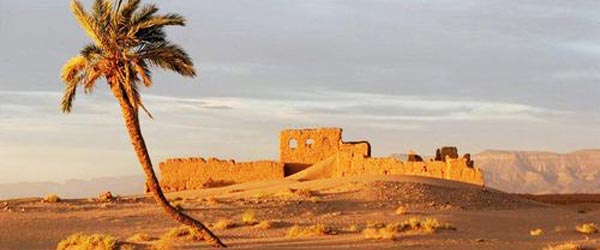 Randonnée à cheval. La chevauchée du désert, Maroc