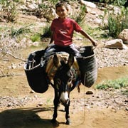 Randonnée à cheval, les vallées du Paradis, Maroc