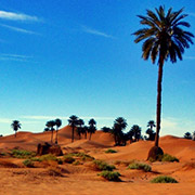 Randonnée à cheval, les oasis sacrées, désert du Sahara, Maroc