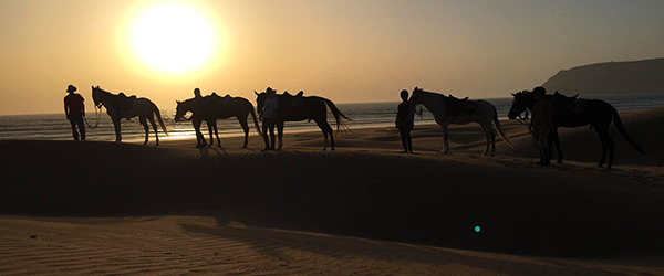 Randonnée à cheval des villages berbères et Taghazoute Bay, Maroc