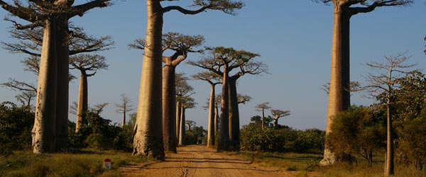 RandonnÃ©e Ã©questre du Moyen Est volcanique de l'Ã®le rouge, Madagascar