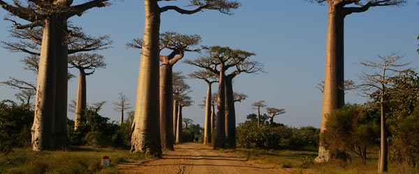Randonnée équestre balnéraire à Ambila et canal des Pangalanes, côte Est, Madagascar