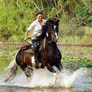 Randonnées à cheval dans le parc de Meinweg, Pays-Bas