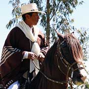 Randonnée à cheval dans les profondeurs du canyon de Colca et lac Titicaca, Pérou
