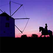 Feria de Golega, les Lusitaniens d'Alcainça, Portugal