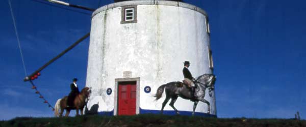 Stage de perfectionnement Ã  l'Ã©quitation, les Lusitaniens dâAlcainÃ§a, Portugal