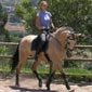 Rando cheval au Portugal à Lisbonne