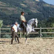 Stage de perfectionnement à l'équitation, les Lusitaniens d’Alcainça, Portugal