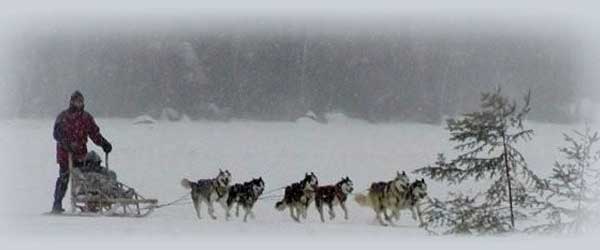 Aventure hivernale en Laponie : Ã©quitation et multi-activitÃ©s en SuÃ¨de