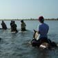 Rando cheval au Sénégal Sine Saloum 