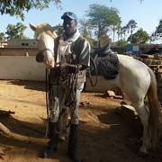 Randonnée équestre itinérante autour du Sine Saloum, Sénégal