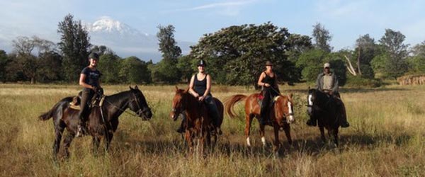 Séjour safari dans une plantation de café et randonnée autour du Kilimandjaro, Tanzanie