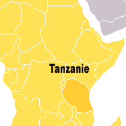 Safari sur les traces des troupeaux sauvages de l'Amboseli, au pied du Kilimandjaro, Tanzanie