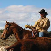 Travail du bétail, séjour équestre, Ranch aux abord de l'Oregon Trail, Wyoming USA.