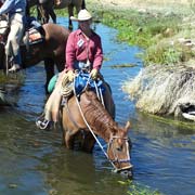 Séjour équestre, convoyage de chevaux, à Owens Valley, Californie, USA.