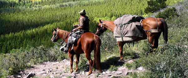 RandonnÃ©e Ã©questre. Sangre de Cristo Pack Trips, Colorado USA.